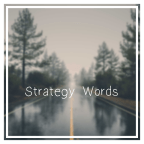 Strategy Words