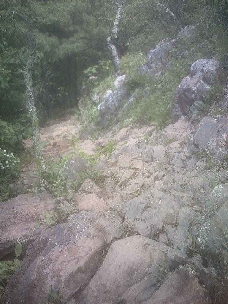 13316949_10154248046914508_1850411081084137538_o