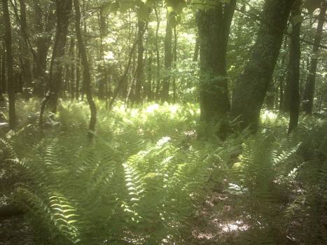 13320836_10154248047514508_6080991854305230594_o