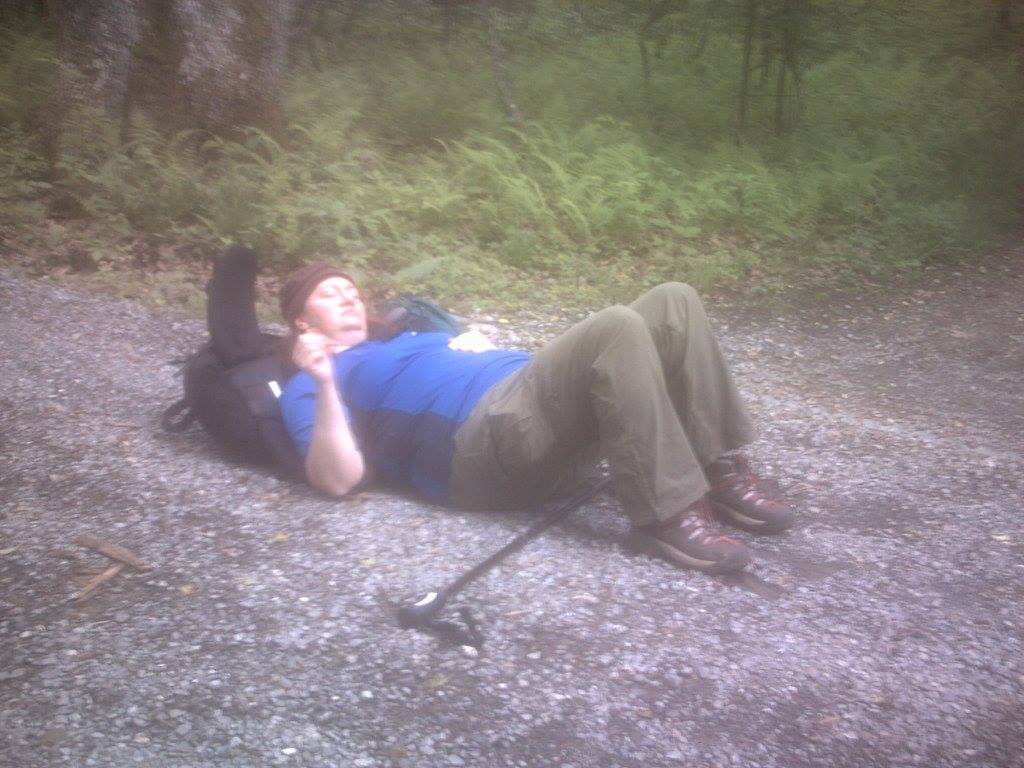 13320491_10154248041319508_7045109114031730352_o