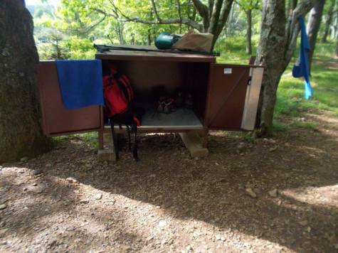 13323191_1222450417766750_3342272418316418701_o